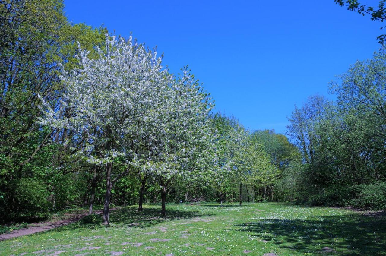 דירות זירקסדורף Panoramic App A09-5 מראה חיצוני תמונה